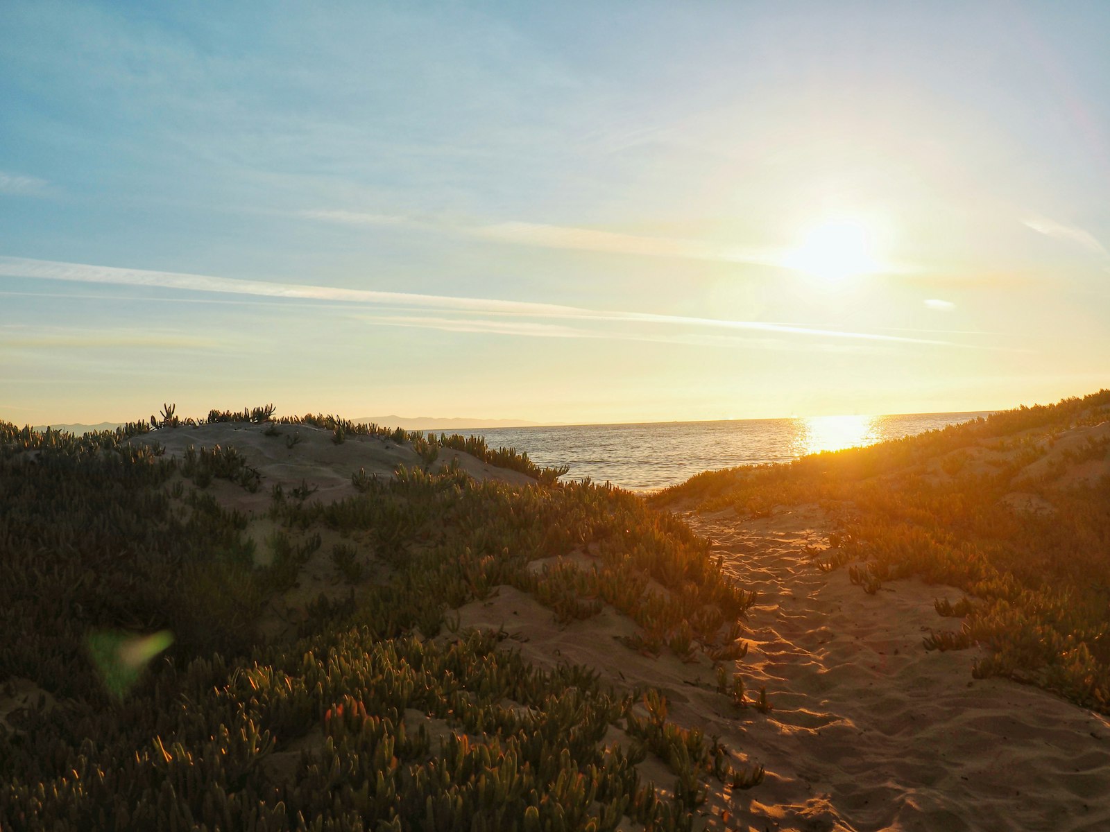 Avalon shoreline
